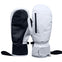Winter Comfort Waterproof Mittens